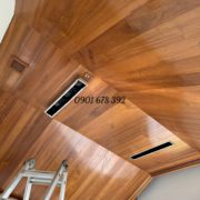 TEAK MY – GIÁ TỴ MIẾN ĐIỆN